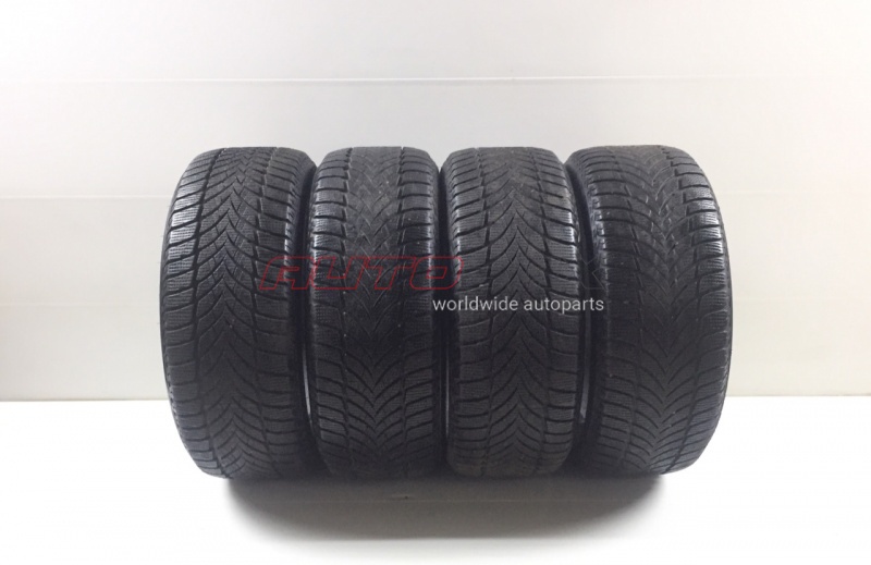 Goodyear ШИНЫ Шина Зимняя