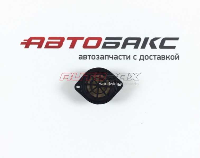 Динамик/Сабвуфер A5/S5 Coupe 2008>